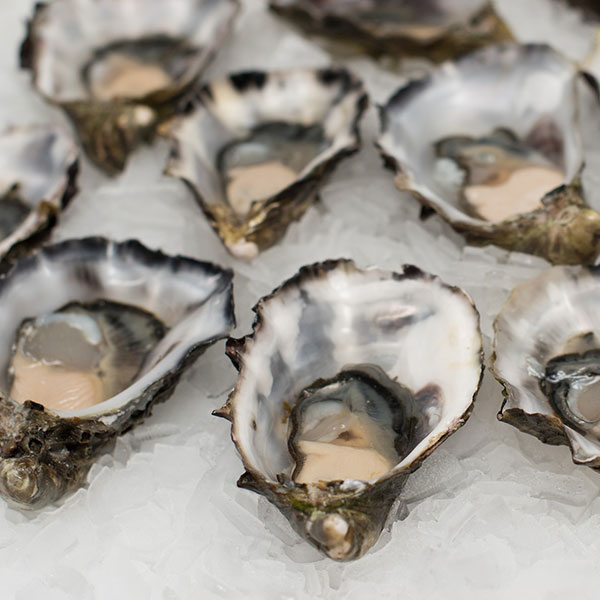 Fresh Oysters Crabby Calabash Seafood Buffet