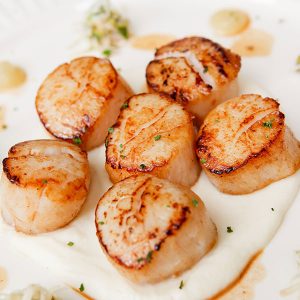 Fried or Broiled Scallops