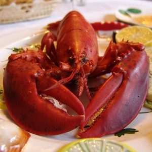 Maine Lobster Plate